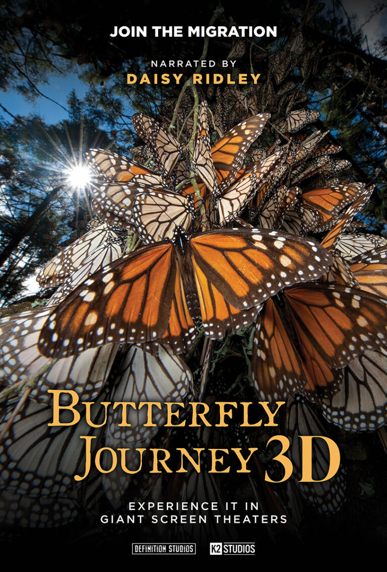 Butterfly Journey