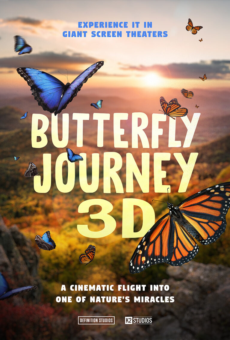 Butterfly Journey